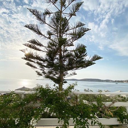 Lyra Seafront Apartment , Paroikia Town Center المظهر الخارجي الصورة